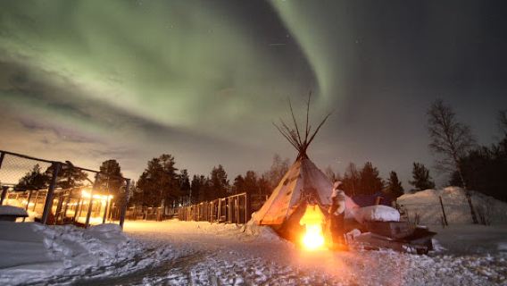 Kiruna Husky
