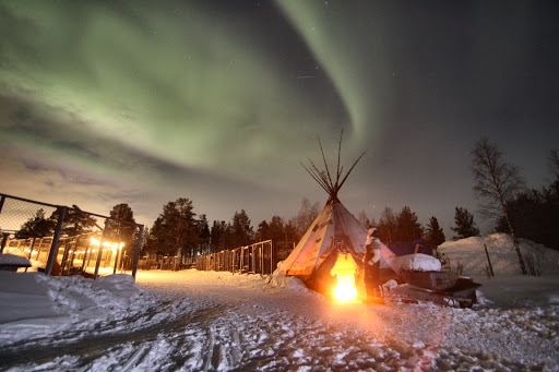 Kiruna Husky