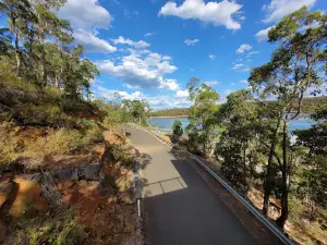 Wellington Dam Lookout Area