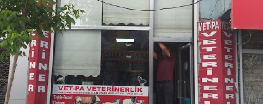 Halı Saha