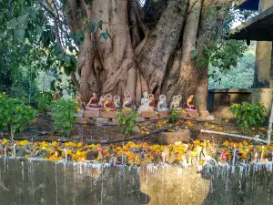 Aranyawas Budhha Vihar Mademudholi-Kothari