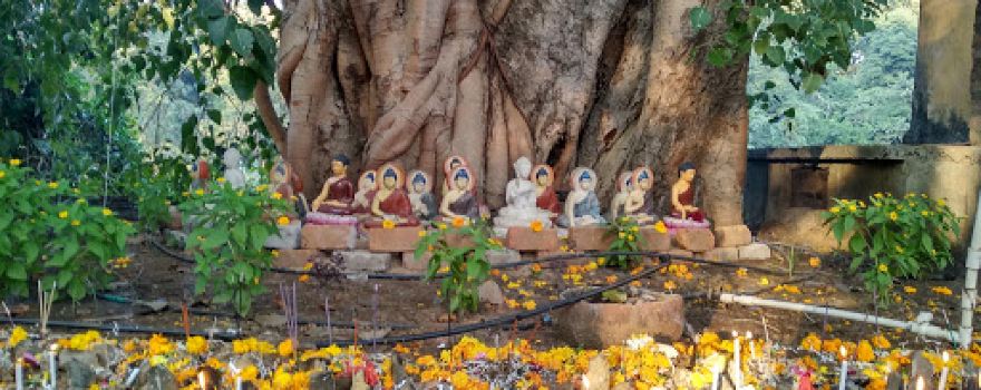 Aranyawas Budhha Vihar Mademudholi-Kothari