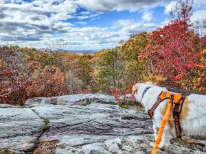 Peaked Mountain Reservation