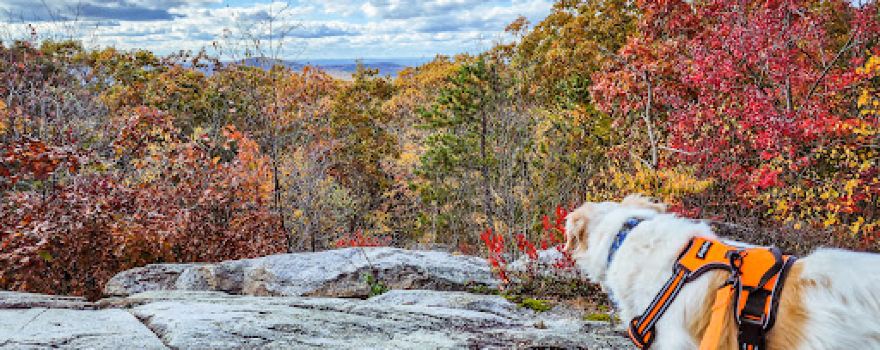 Peaked Mountain Reservation