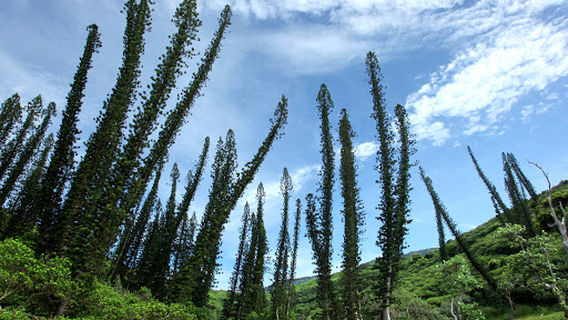 Baie des amoureux