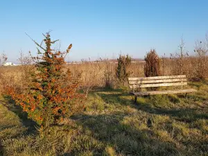 Parcul Steaua Dunării