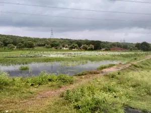 Sharda Mandir