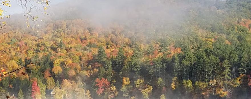 Mirror Lake