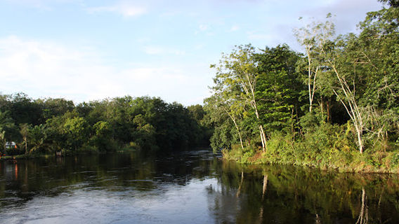 Wisata Bono