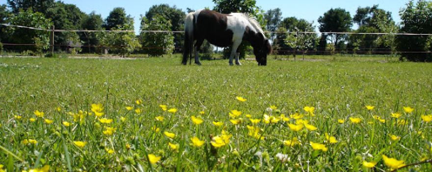 Stichting Natuurboerderij Dalfsen