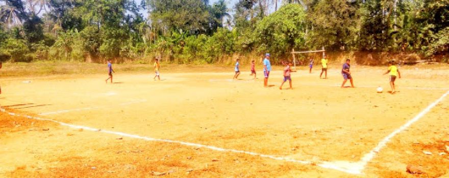 Thrikkanikkavu Play Ground