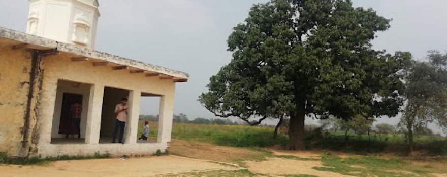 गांव दवाह, जैतपुर कलां आगरा,UP
