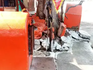 Maa Kalsan Mandir
