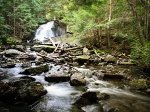 Alder Falls