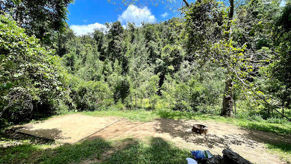 Maleny