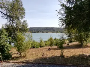 Arboretum