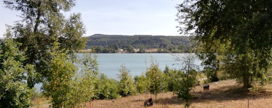 Arboretum