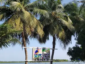 Crocodile Island