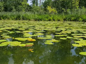 Camping Partęczyny