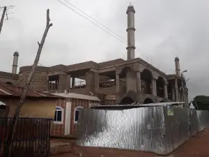 Sheikh Maulana Abdullahi Maikano RTA mosque