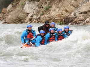 New Wave Adventures