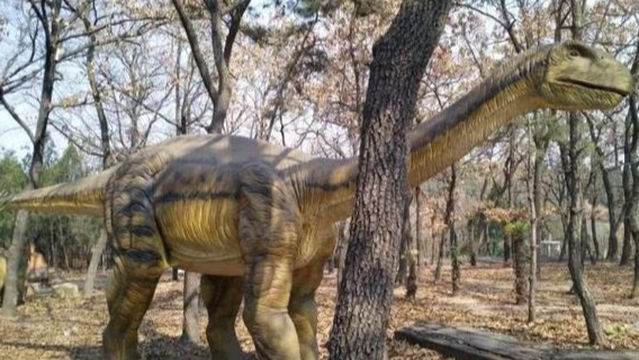 ma ling shan kong long wen hua yuan