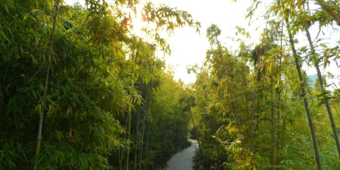 南方植物園