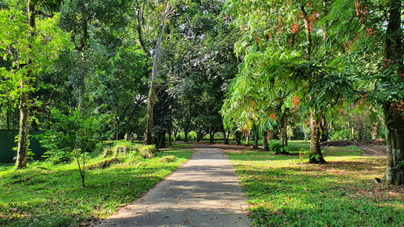 Gampaha Botanical Garden