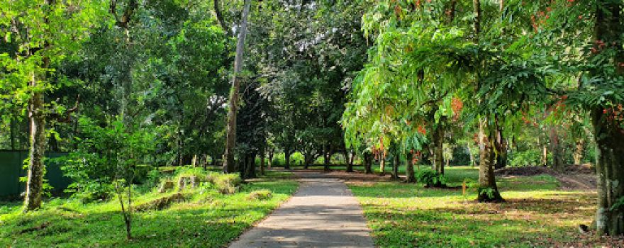 Gampaha Botanical Garden