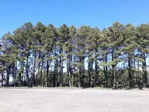Refúgio de Vida Silvestre dos Campos de Palmas