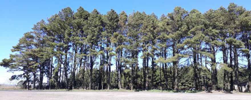 Refúgio de Vida Silvestre dos Campos de Palmas