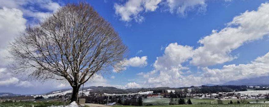 Auf der Egg mit Alpenpanorama