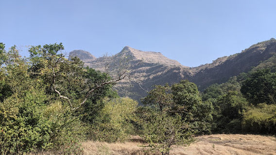 Hadshi Lake Camping