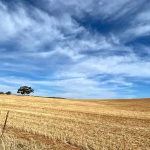 Barossa Valley