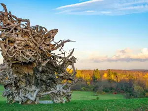 Stone Quarry Hill Art Park Inc