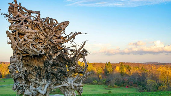 Stone Quarry Hill Art Park Inc