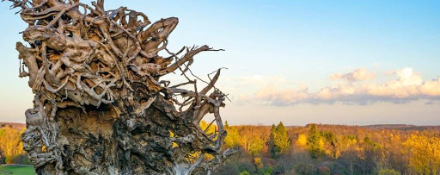 Stone Quarry Hill Art Park Inc