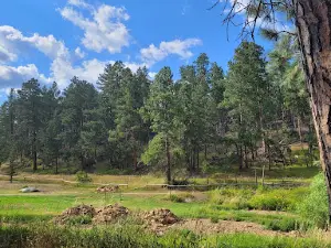 Nemo Guest Ranch