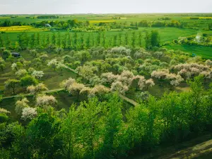 Nakotnes parks