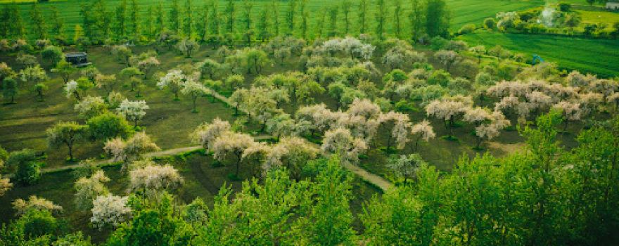 Nakotnes parks