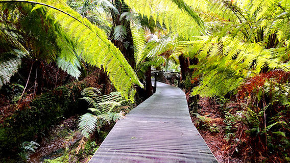 Cape Otway