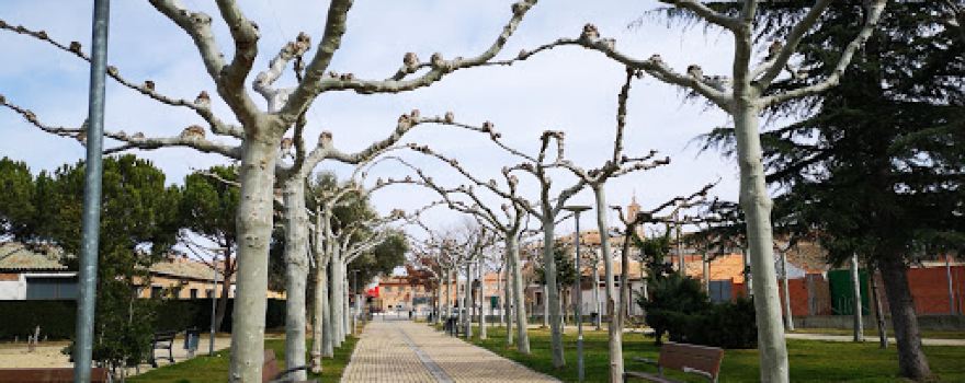 Parque Ataquines, Estupendo para Comer