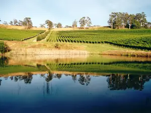 Clover Hill Wines