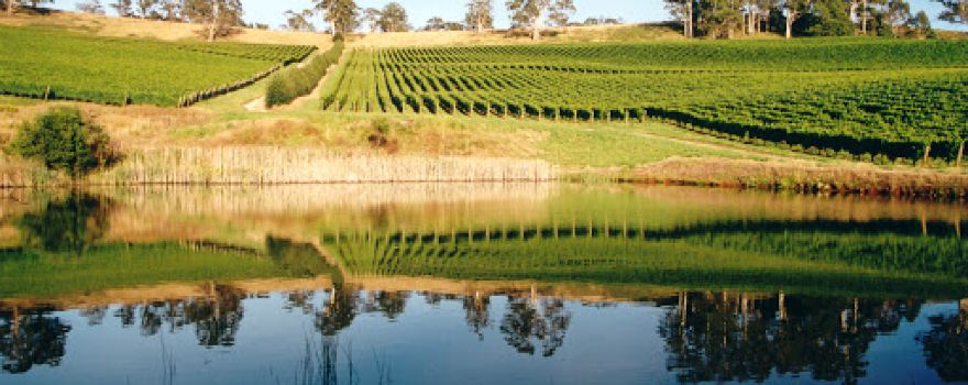 Clover Hill Wines