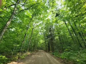 Heaven's Gate Trail