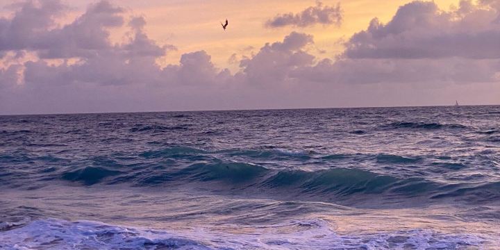 Juno Beach Park