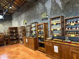 The vanilla plantation, Domaine du Grand Hazier