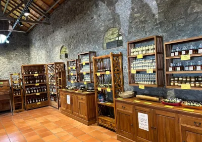 The vanilla plantation, Domaine du Grand Hazier