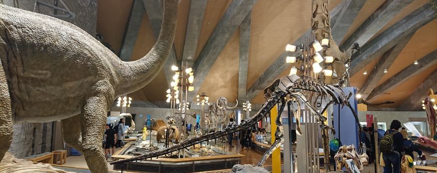 Gunma Museum of Natural History