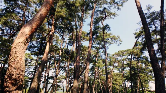 紹修書院